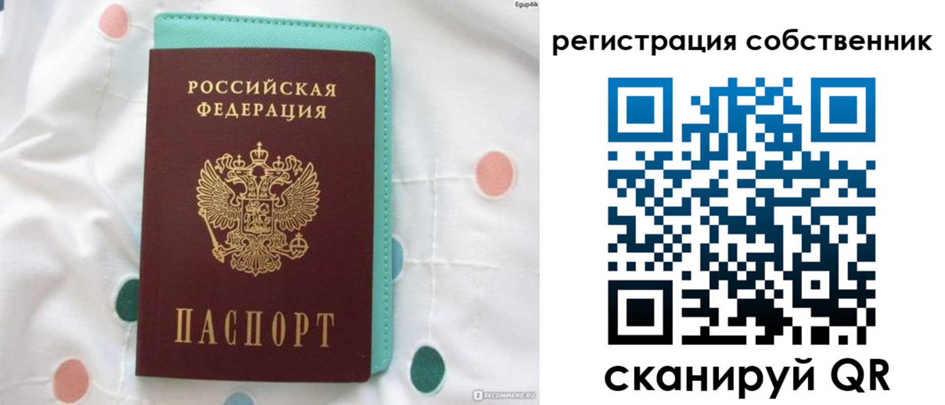 прописка для школы в Мурино
